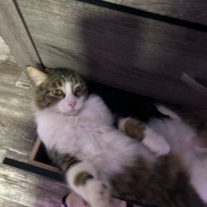 Meet your Posher, Evan